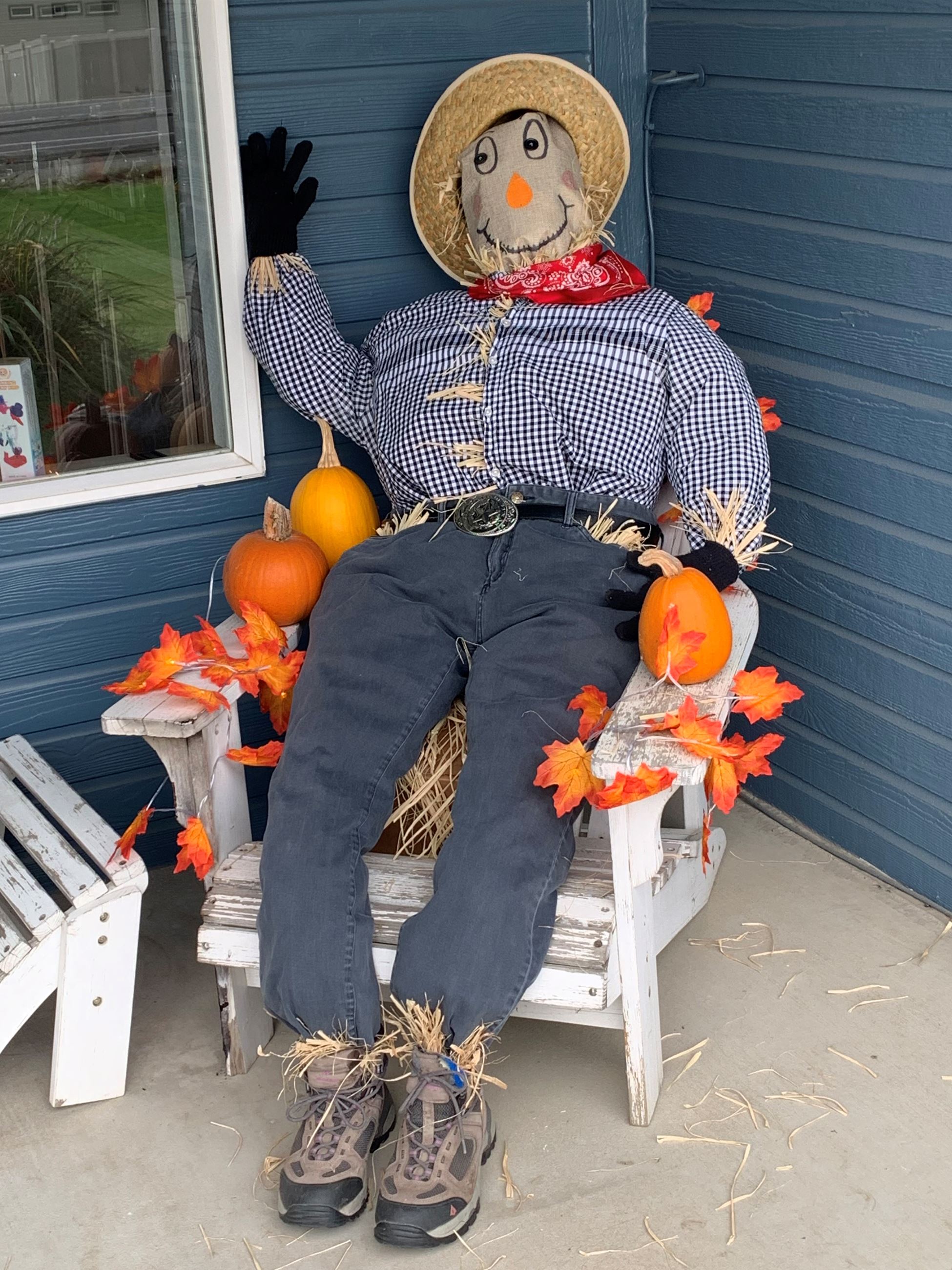 2020 - Scarecrow 10